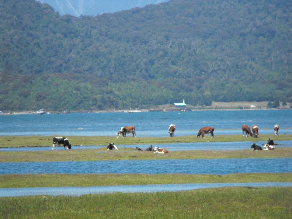 Hualaihue Austral Hornopirén